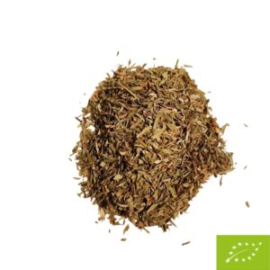 CIBOULETTE BIO